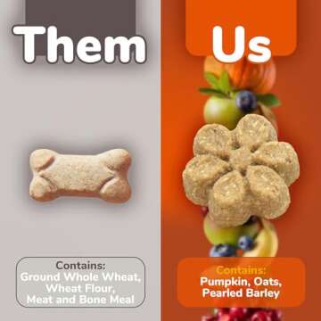 Fruitables Baked Dog Treats – Sweet Potato Treats for Dogs – Healthy Low Calorie Treats – Free of Wheat, Corn and Soy – Sweet Potato and Pecan – 7 Ounces