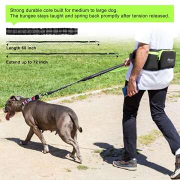 Hands-Free Dog Leash with Reflective Stitching