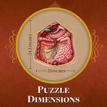 Genius Games Human Abdomen Anatomy Jigsaw Puzzle | Dr Livingston's Unique Shaped Science Puzzles, Accurate Medical Illustrations of the Body, Organs, Stomach, Liver and Intestines