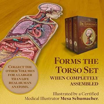 Genius Games Human Abdomen Anatomy Jigsaw Puzzle | Dr Livingston's Unique Shaped Science Puzzles, Accurate Medical Illustrations of the Body, Organs, Stomach, Liver and Intestines