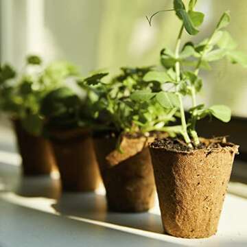 Organic Plantable Seed Starting Pots for Your Garden