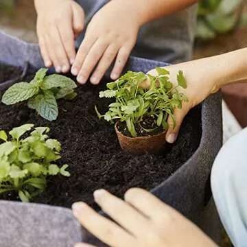 Organic Plantable Seed Starting Pots for Your Garden