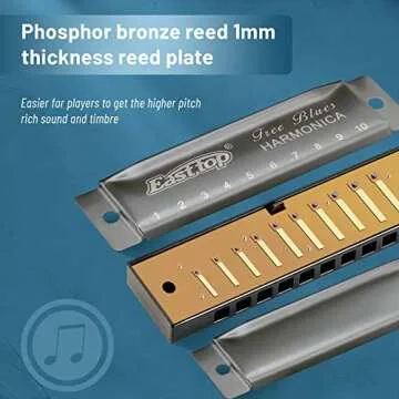 East top Harmonica, Diatonic Blues Deluxe Harmonica Key of C, 10 Holes 20 Tones Blues Harp Mouth Organ Harmonica For Adults, Beginners, Professionals and Students, as a Gift（Silver grey）