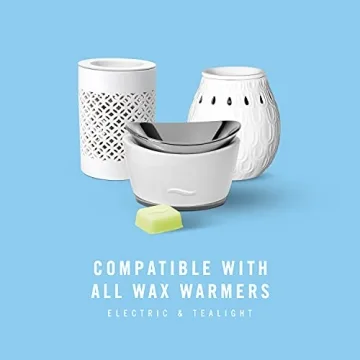 Febreze Wax Melts Gain Scent Odor Eliminator 4 Pack