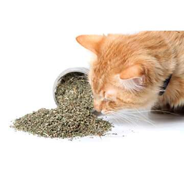 Cat Crack Organic Catnip Combo Pack - Premium Potency for Playful Kitties!