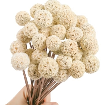 30 PCS Natural Dried Craspedia Billy Balls Flowers, 17” Dried White Flowers Buttons Bouquet for Va...