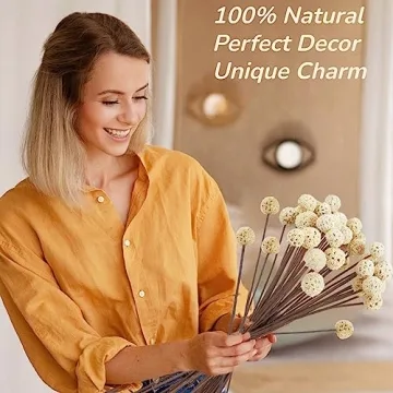 Natural Dried Craspedia Billy Balls for Home Decor