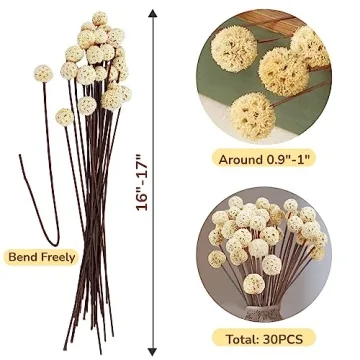 Natural Dried Craspedia Billy Balls for Home Decor