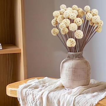 Natural Dried Craspedia Billy Balls for Home Decor