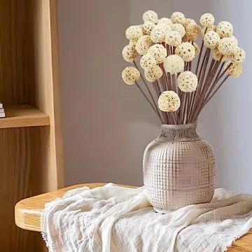 Natural Dried Craspedia Billy Balls for Home Decor