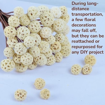 Natural Dried Craspedia Billy Balls for Home Decor