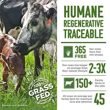 Maple Hill Shelf Stable Whole White Milk 100% Grass Fed, Organic, Non-GMO: 12 Pack 8 Fl Oz Aseptic Milk Boxes