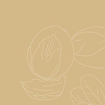 SheaMoisture Raw Shea Butter Deep Treatment Masque Review