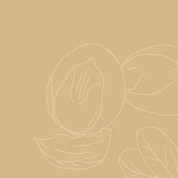 SheaMoisture Raw Shea Butter Deep Treatment Masque Review