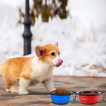 Collapsible Dog Bowl,2 Pack Portable and Foldable Pet Travel Bowls Collapsable Dog Water Feeding Bowls Dish for Dogs Cats and Small Animals,with Lids (Small, Blue+Red)