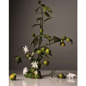 Homecourt All-Purpose Cleaner Spray - Neroli Leaf Scent