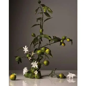 Homecourt All-Purpose Cleaner Spray - Neroli Leaf Scent