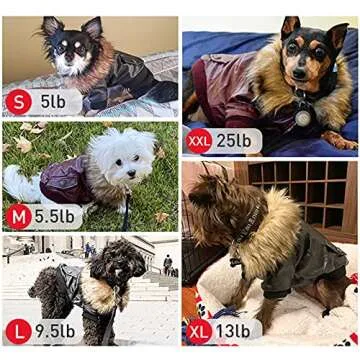 LESYPET Small Dog Leather Jacket for Winter Warmth