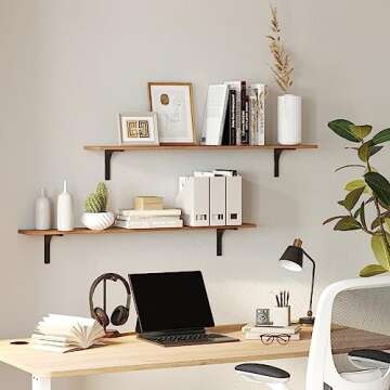 DINZI LVJ Long Wall Shelves for Home Organization
