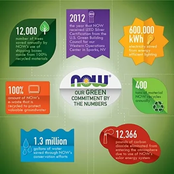 NOW Foods L-Carnitine 500 mg - 240 Veg Capsules