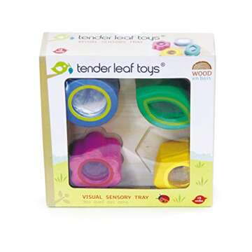 Tender Leaf Toys Sensory Trays - Colorful Educational Baby Blocks