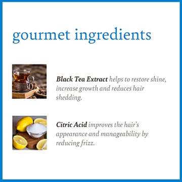 Camille Rose Black Castor Oil & Chebe Hair Cleanse, Invigorating Scalp Treatment Shampoo to Strengthen, Shine, and Moisturize, for all Hair Types, 12 fl oz