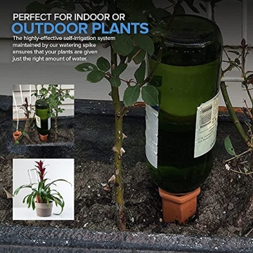 Terracotta Self-Watering Spikes for Effortless Plant Care