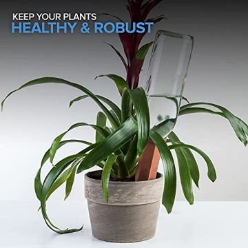 Terracotta Self-Watering Spikes for Effortless Plant Care