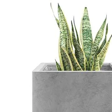 Kante 16 Inch Square Concrete Planter for Outdoor Indoor Home Patio Garden, Large Plant Pot with Drainage Hole and Rubber Plug, Natural Concrete