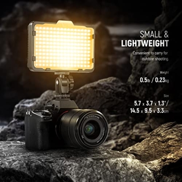 Neewer Dimmable 176 LED Video Light for SLR Cameras