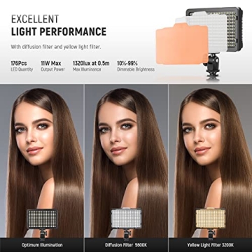 Neewer Dimmable 176 LED Video Light for SLR Cameras