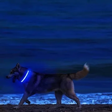 MASBRILL LED Dog Collar - Night Walking Lighted, Rechargeable & Water-Resistant