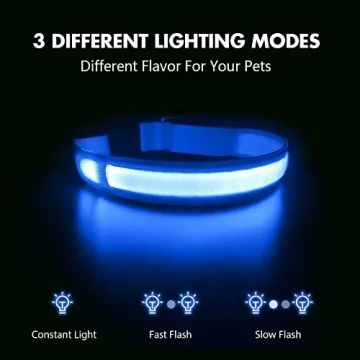 MASBRILL LED Dog Collar - Night Walking Lighted, Rechargeable & Water-Resistant