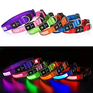 MASBRILL LED Dog Collar - Night Walking Lighted, Rechargeable & Water-Resistant