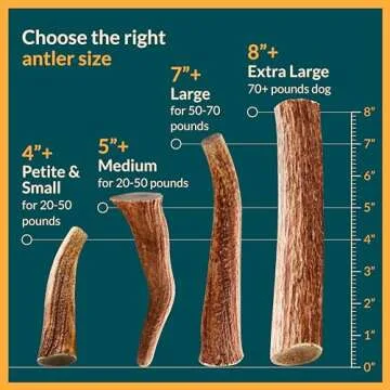 100% Natural - Antlers for Dogs ( Split ) - Naturally Shed in USA - Grade A Long Lasting Chew for Aggressive Chewers - Elk Antlers Dog Antler Chews - Real, Treats & Toys - No Odor & No Mess - Small