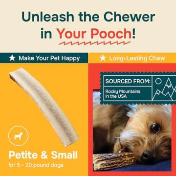 100% Natural - Antlers for Dogs ( Split ) - Naturally Shed in USA - Grade A Long Lasting Chew for Aggressive Chewers - Elk Antlers Dog Antler Chews - Real, Treats & Toys - No Odor & No Mess - Small