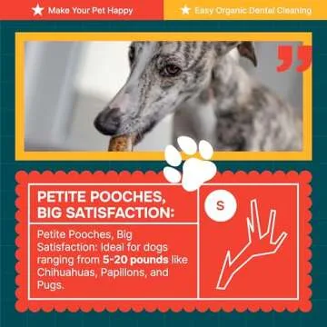 100% Natural - Antlers for Dogs ( Split ) - Naturally Shed in USA - Grade A Long Lasting Chew for Aggressive Chewers - Elk Antlers Dog Antler Chews - Real, Treats & Toys - No Odor & No Mess - Small