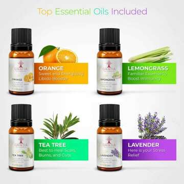 Aromatherapy Essential Oil Diffuser & Set for Large Rooms