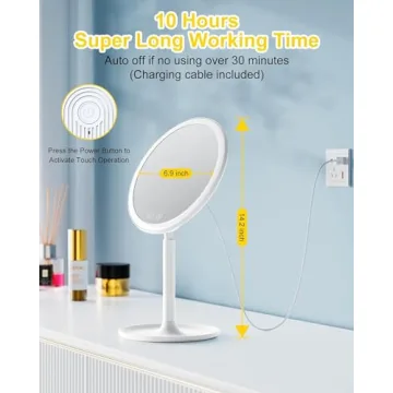 Brightown LED Makeup Mirror with Lights & 10X Magnifier