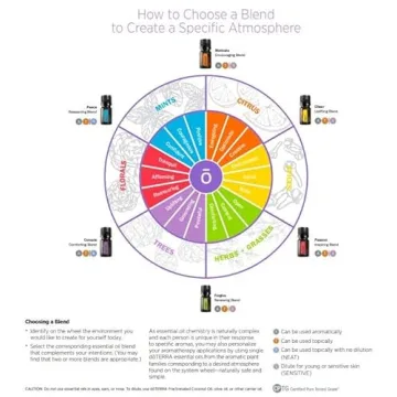 Essential Oil Roll-On Kit for Emotional Wellness