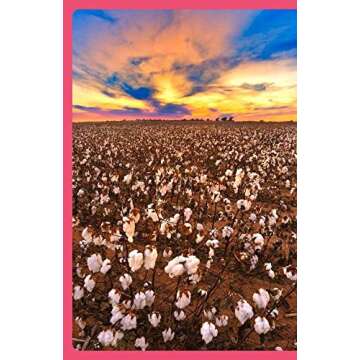 Lonely Planet San Antonio, Austin & Texas Backcountry Road Trips 1 (Travel Guide)