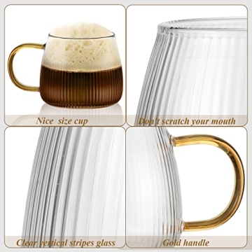 Hoolerry Vintage Glass Coffee Mugs Set for Hot & Cold Drinks
