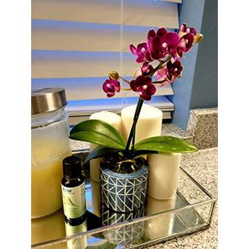 Elegant Silver Mirror Tray for Jewelry and Makeup Storage