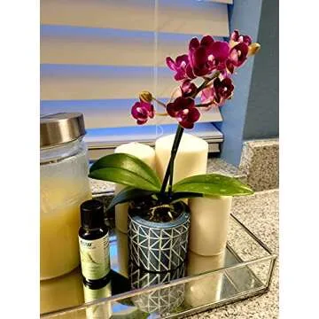 Elegant Silver Mirror Tray for Jewelry and Makeup Storage