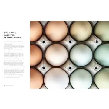 Quick Weeknight Meals for Flavor Lovers