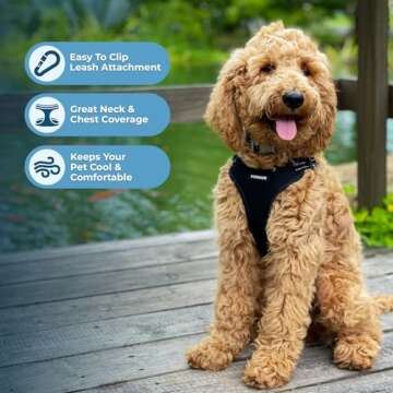 Best Pet Supplies Voyager Adjustable Dog Vest Harness Breathable No Pull Harness for Small, Medium, Large Dogs, Heavy Duty Harness for Walking, Jogging, Easy Step-in, Reflective Stripes - (Black), XS