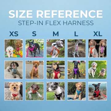 Best Pet Supplies Voyager Adjustable Dog Vest Harness Breathable No Pull Harness for Small, Medium, Large Dogs, Heavy Duty Harness for Walking, Jogging, Easy Step-in, Reflective Stripes - (Black), XS