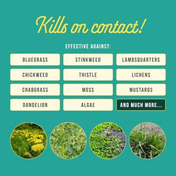 Sunday Weed Warrior - Organic and Fast-Acting Weed Killer Spray