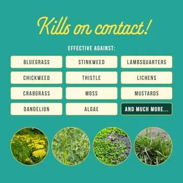 Sunday Weed Warrior - Organic and Fast-Acting Weed Killer Spray