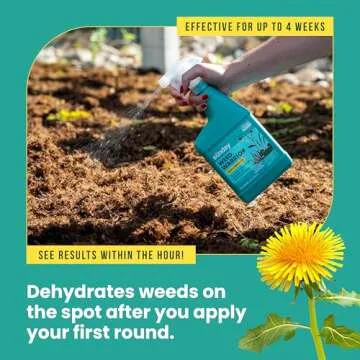 Sunday Weed Warrior - Organic and Fast-Acting Weed Killer Spray
